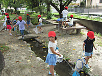 Img_4545_r Img_4545_r