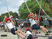 Img_4552_r Img_4552_r