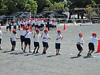 Img_4648_r Img_4648_r