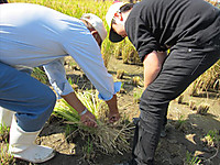 Img_4698_r Img_4698_r