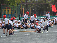 Img_2396_r_r Img_2396_r_r