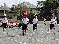 Img_2405_r_r Img_2405_r_r