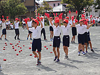 Img_2425_r_r Img_2425_r_r