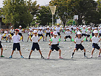 Img_2431_r_r Img_2431_r_r