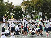 Img_2436_r_r Img_2436_r_r