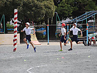 Img_2460_r_r Img_2460_r_r