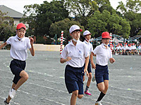 Img_2463_r_r Img_2463_r_r