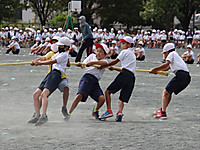 Img_2473_r_r Img_2473_r_r