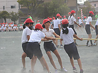 Img_2479_r_r Img_2479_r_r