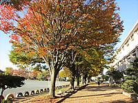 Img_4882_r Img_4882_r