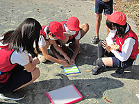 Img_4904_r Img_4904_r