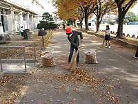 Img_4356_r Img_4356_r