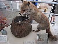 Img_4937_r Img_4937_r