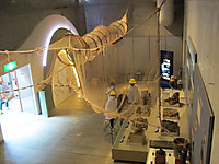 Img_4938_r Img_4938_r