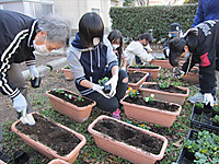 Img_5121_r Img_5121_r