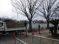 Img_4793_r Img_4793_r