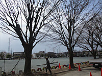 Img_4796_r Img_4796_r