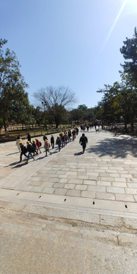 A3c9f370b3554cca8700aba1a49df459