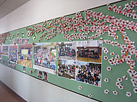 Img_5745_r Img_5745_r