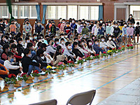 Img_3951_r_r Img_3951_r_r