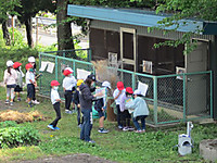 Img_5954_r Img_5954_r