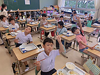 33803c8aa5cc45128b051e98be51fa5a