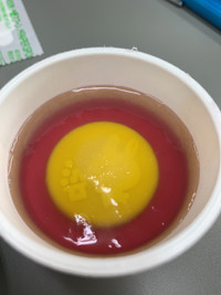 F77545958b304142b9e5932c699e2527