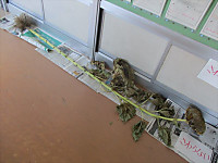 Img_5800_r Img_5800_r