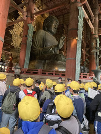 2799405b33cf4447be4cdd8f982fa8de