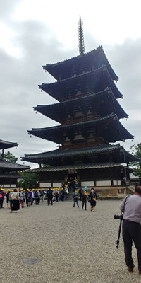 8ac716a5e7bf4c0c9420c78b88e552a3