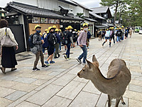 Ac3f65735c3b4776bcfaf11cc5f915f4