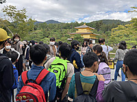 0a011bd0f47c4a5caf2bb049427f4cc4