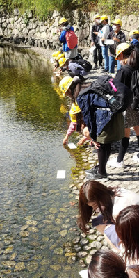 1fced51e636545e989b92d717f0c3274