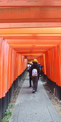 26aaf8d3ae224b07a683bc8e81faa379