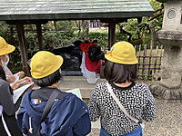 3750a634c14749b4b9288d2c79710290