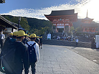 A5d4c4fb4dfa4d33a7d7b4f42f03915b