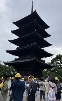 B8f077577cf54b6e8dff997ae56027aa