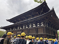 Edd9db8953d14a97a85d155a86fd1d2e