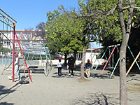 Photo_7