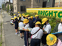 8129f0381d934a7da827e9942aa7b51d