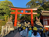 A312bed83a254eb593e40f7862e5990a