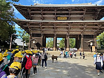 Cca3bdce5fbe434aa5c6707035aadec8