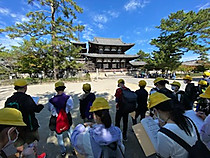 E4f4d780d32d4c91a3fb84a236c586c7