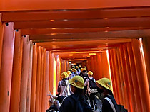 F3a23105a7bc41d7ad497963a84ccb81