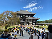 Fa31e75ee2834befaaa0f94a56197b1f