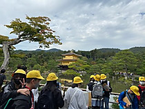 3643dcb233604d82b13d3dbefb2f14d5