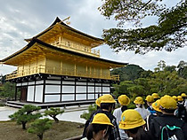 4fa32901342a4dd2889885a0e24d5540