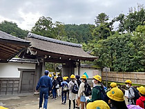 80756a5633c14619b4a1148843845c7c