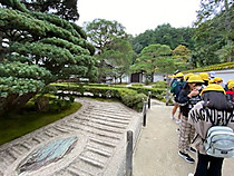 96bae81651c244228814017a9834935f