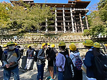 9994a8ad5b3c412da24a72a910f4ac66